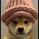 dogwifhat logo, WIF crypto perpetual market on Lighter
